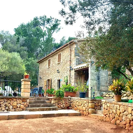 Villa Sa Tarongera Andratx