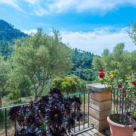 Villa Sa Tarongera